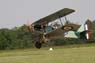 bferte_06-06-03_0410