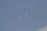 ferte_06-06-03_0459